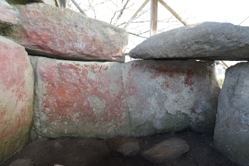 20250918saizon migi.jpg(139532 byte)